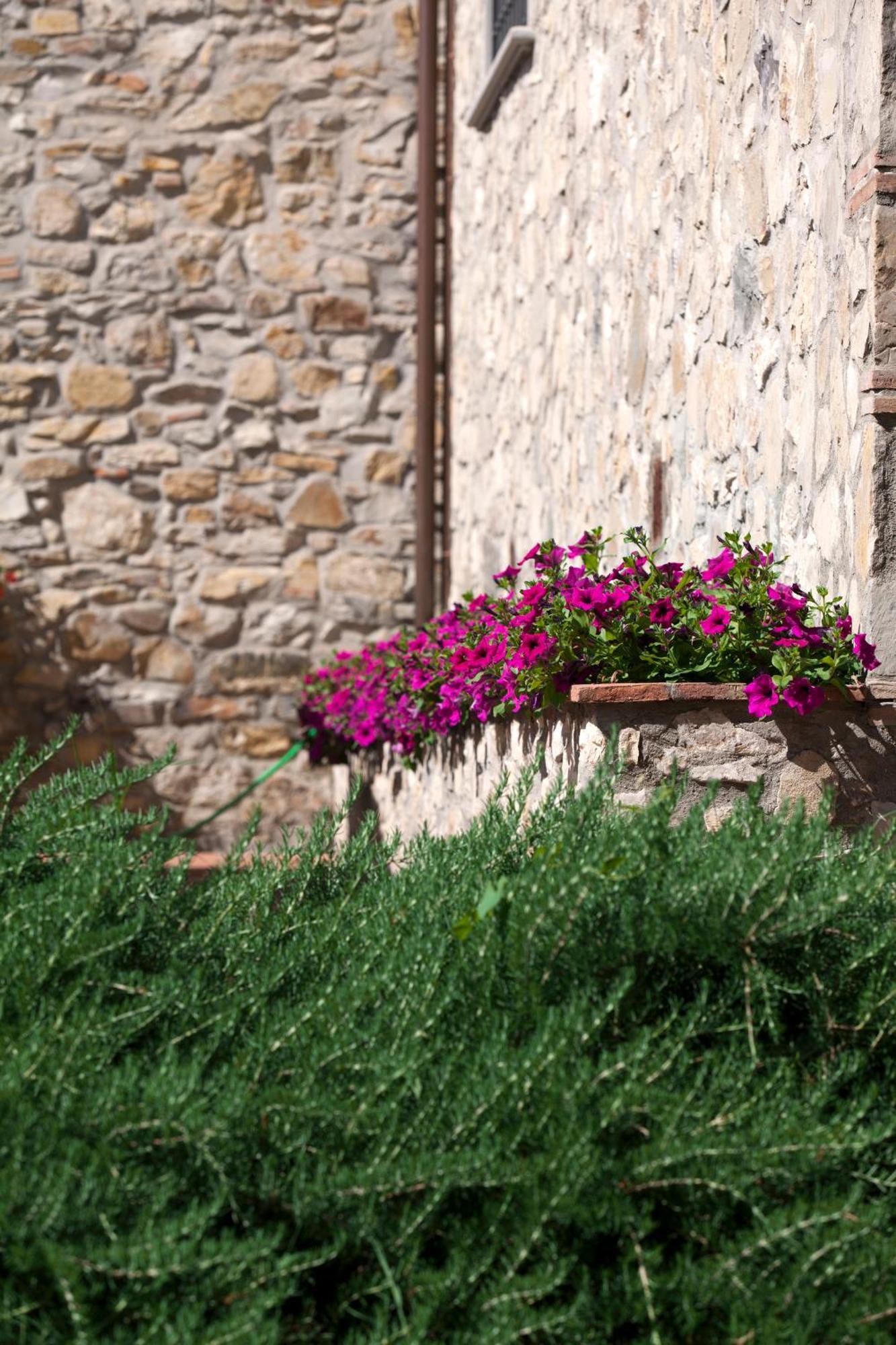 Agriturismo La Casa Di Rodo Quarrata Εξωτερικό φωτογραφία