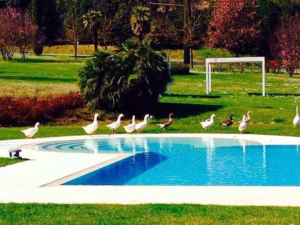 Agriturismo La Casa Di Rodo Quarrata Εξωτερικό φωτογραφία